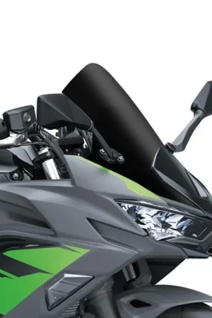 Op = Op Vervangingsruit Racing met ABE voor Kawasaki Ninja 650 20-25 Airoad RC38 Kuipruit zwart 10033S
