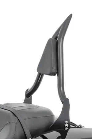 Uitverkoop Sissy Bar passend voor Harley Davidson Touring 09-25 Craftride PV2