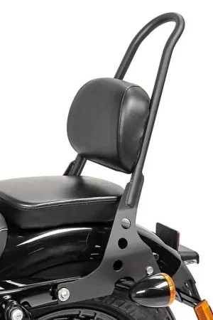 Nu Kopen Sissy Bar afneembaar Craftride passend voor Harley Davidson Sportster 04-20