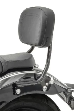 In De Mode Sissybar compatibel met BMW R 18 / Classic 20-25 afneembaar Craftride QC3