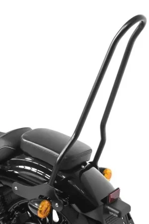 Sissybar geschikt compatibel met Harley Davidson Sportster 04-20 Craftride Tampa Gecertificeerd