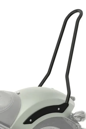 Sissy Bar compatibel met Indian Chief Bobber / Dark Horse 21-25 Rugsteun Solo Rider Craftride MF3 Fabrieksprijs
