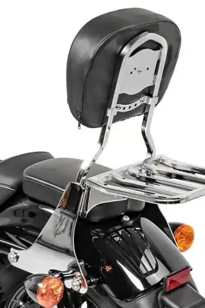 Professioneel Sissy Bar met Bagagedrager passend voor Harley Davidson Sportster 1200 Custom 04-20 chroom Craftride