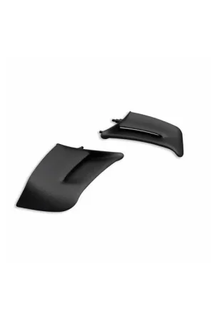 Ducati Vleugels (Winglets) Panigale V4 R (23-) Koop Online