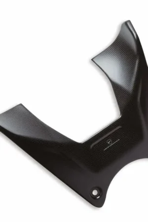 Koop Vandaag Ducati Tank Cover Carbon Diavel V4