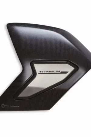 Ambachtelijk Ducati Beschermkap Achterbrug Carbon