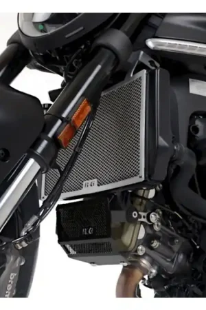 Modern R&G RAD0276TI Radiateur Bescherming Titanium Ducati Monster 21-