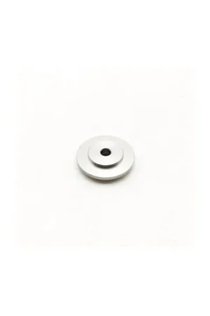 Direct Verzonden Triumph Bar End Weight T2043448