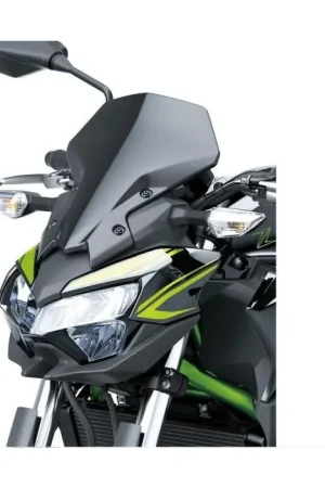 Kawasaki Hoog Windscherm Getint (Z650) Beste Prijs