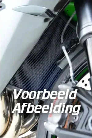 Koop Vandaag R&G RAD0257RACINGTI Radiateur Bescherming Race Titanium Honda CBR1000RR-R(SP) 20-