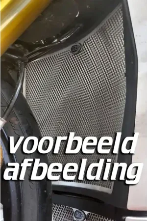 R&G RAD0256RACINGTI Radiateur Bescherming Titanium Race Ducati Streetfighter V4 20- Betaalbaar
