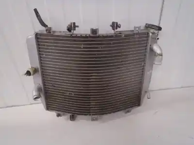 Limited Edition radiateur Kawasaki ZX-6R (ZX600G)