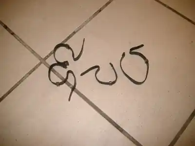 Limited Edition bandjes kabelboom GT 550 1983