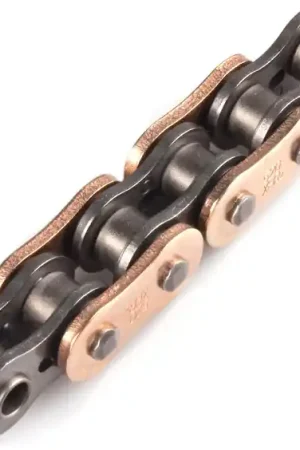 Betrouwbaar AFAM - 520XHR2 124 MRS (RIVET) GOLD - Chains - Gouden afwerking