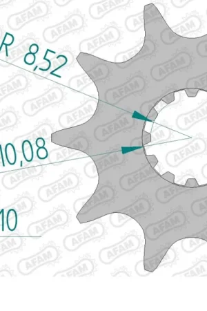 Nieuwe Collectie AFAM - FRONT 10T, 520 - Sprockets - 10T