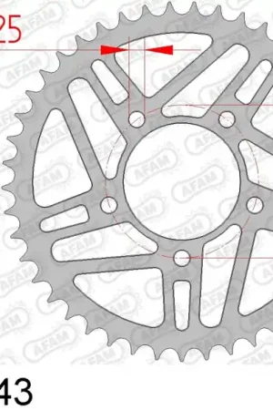 Trendy AFAM - REAR STEEL 43T, 520 - Sprockets - Geschikt voor Marchesini/BST/OZ