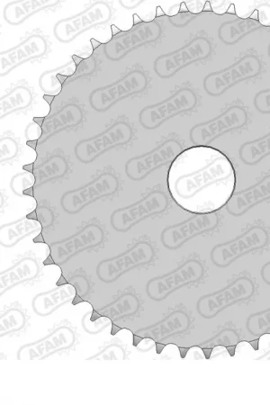 Koopje AFAM - REAR ALU, BLANK, 415, 48T - Sprockets - 48T