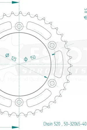 ESJOT - REAR STEEL 40T, 520 - Sprockets - Duurzaam en Betrouwbaar Direct Beschikbaar