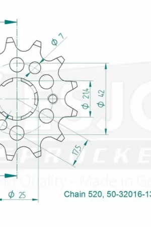 ESJOT - FRONT 13T, LIGHT, 520 - Sprockets - Lichtgewicht ontwerp Direct Verzonden