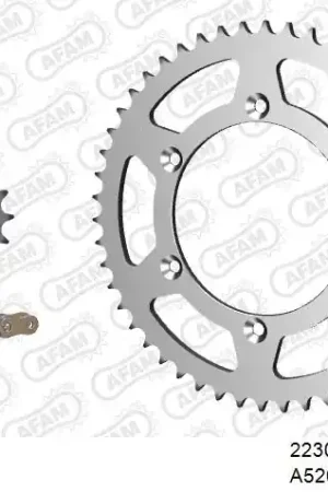 AFAM - 520MR2 112 ARS (CLIP) GOLD & SPROCKETS - STEEL Ambachtelijk