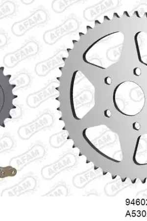 Hete Deal AFAM - 530XSR2 108 MRS - Chain Kits - RIVET GOLD & SPROCKETS