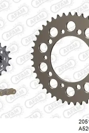 Betaalbaar AFAM - 520XSR 108 MRS (RIVET) - Chain Kits - GOLD & SPROCKETS