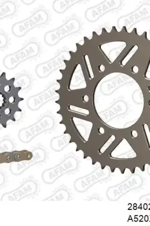 Populair AFAM - 520XHR2 110 MRS - Chain Kits - GOLD & SPROCKETS