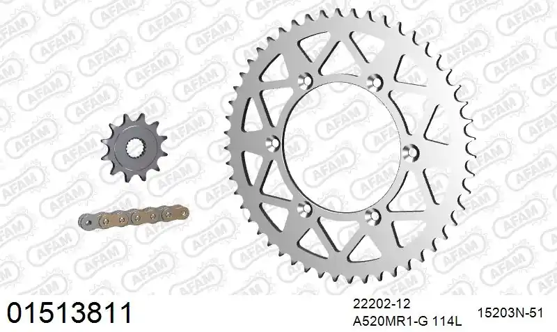 Actieprijs AFAM - 520MR2 114 ARS (CLIP) GOLD & SPROCKETS - Chain Kits - ALU