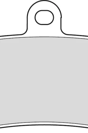 Nieuw FERODO - FDB2124P - Brake Pads - Organic