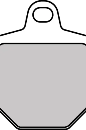 Goedkoop FERODO - FDB2244ST - Brake Pads - SINTER STREET