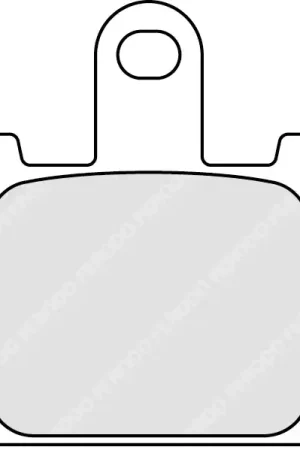 FERODO - FDB2220 CP1 - Brake Pads - Organic Racing voor Road Racing Hoge Kwaliteit