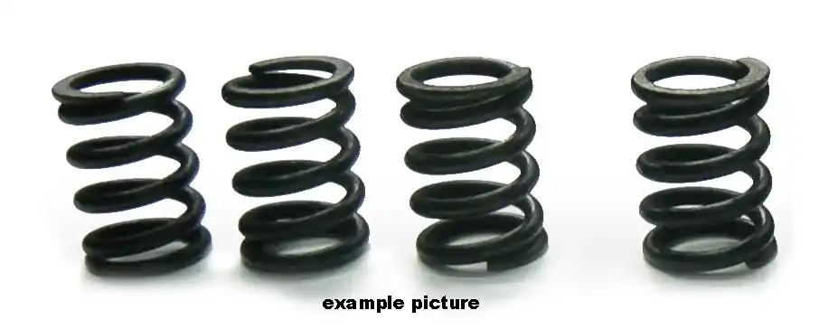 Trendy TOURMAX - HSP-301-4 - Clutch Spring Sets - Voor diverse Suzuki modellen