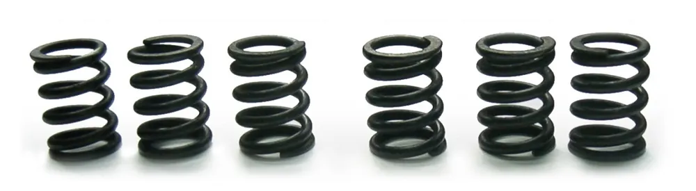 FERODO - FSS-0501 - Clutch Spring Sets - CLUTCH SPRINGS SET Goedkoop