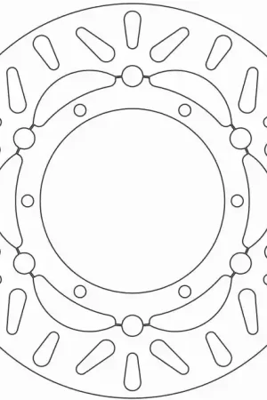 Gereduceerde Prijs FERODO - FMD0163RF - Brake Discs - Steel Carrier