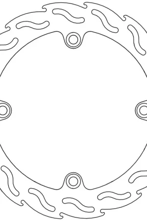 MOTO MASTER - 110301 - Brake Discs - Flame Fixed Disc 256 Limited Edition