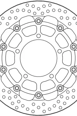 MOTO MASTER - HALO 5,5MM RACING SERIES - Brake Discs - FLOATING ALU DISC 310 Lage Kosten