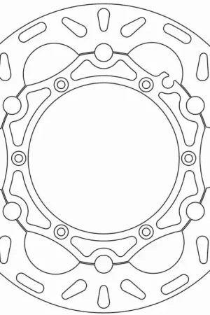 FERODO - FMD0017RF - Brake Discs - Hoogwaardige Remschijf Express Levering