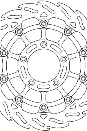 MOTO MASTER - FLAME 5,5MM RACING SERIES - Brake Discs - FLOATING ALU OFFSET DISC 310 Veilige Betaling