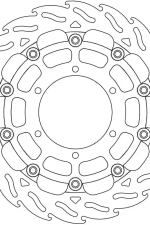 Gratis Verzending MOTO MASTER - FLAME 5,5MM RACING SERIES - Brake Discs - FLOATING ALU DISC 310