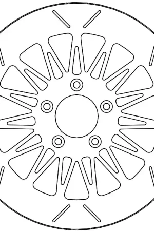 Topkwaliteit MOTO MASTER - 110754 - Brake Discs - RIALTO FIXED DISC 300